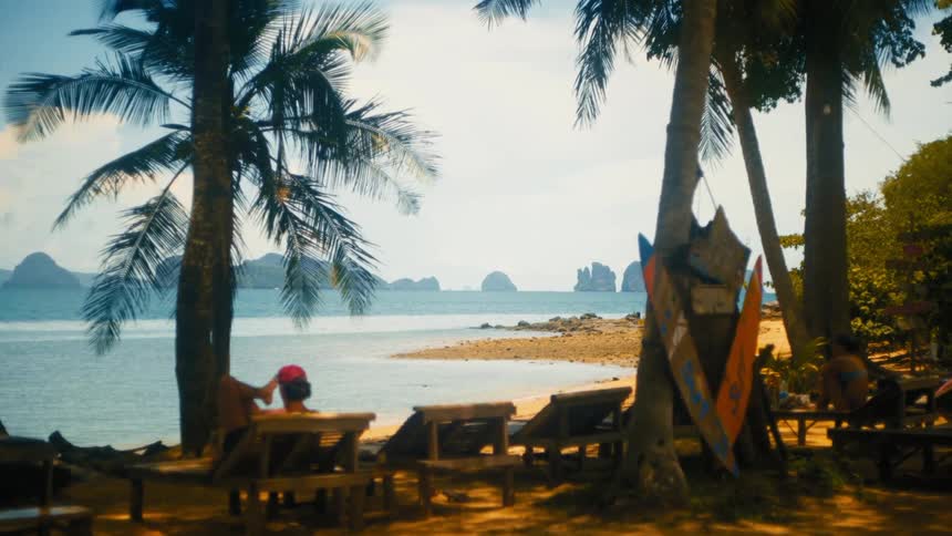 A tropical beach scene features people relaxing in lounge chairs under palm trees with surfboards leaning against a tree trunk and a view of islands in the distance