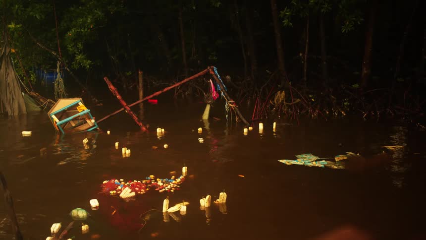 Wreckage in a river with brown water and in the background a mangrove forest