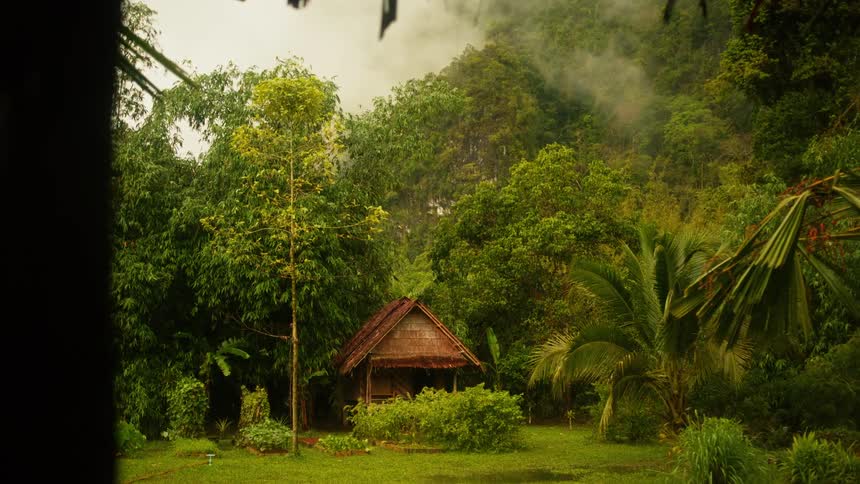 A small thatchedroof hut sits in a lush verdant clearing surrounded by dense tropical foliage