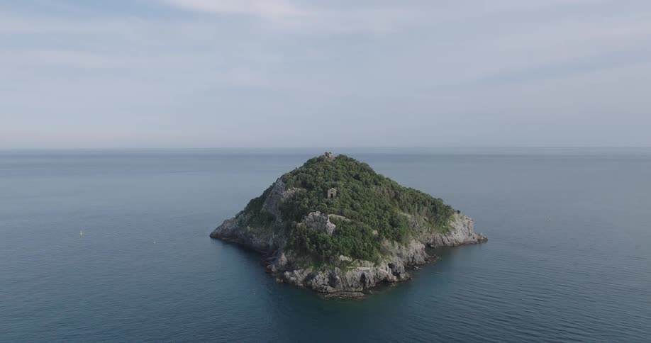 Aerial shot of a wooded island in the middle of the ocean