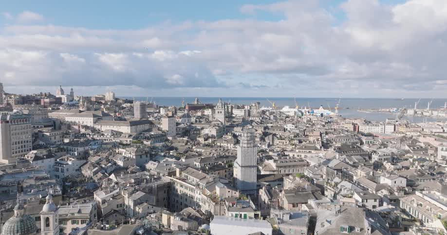 Birds fly above the buildings in the city