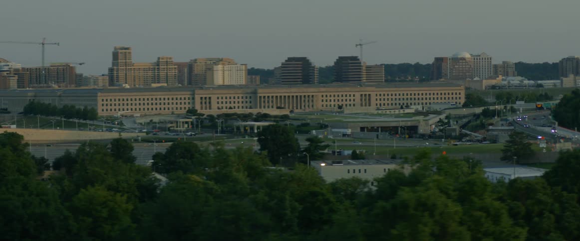 Trees are shown with city buildings in the distance