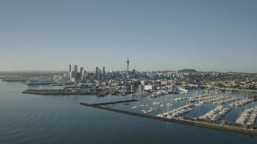 Aerial view of a coastal city skyline with a marina full of docked boats under clear skies