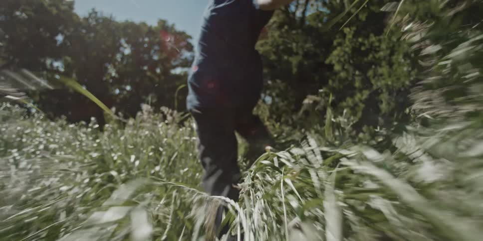 Back of a boy running through the forest on a sunny day