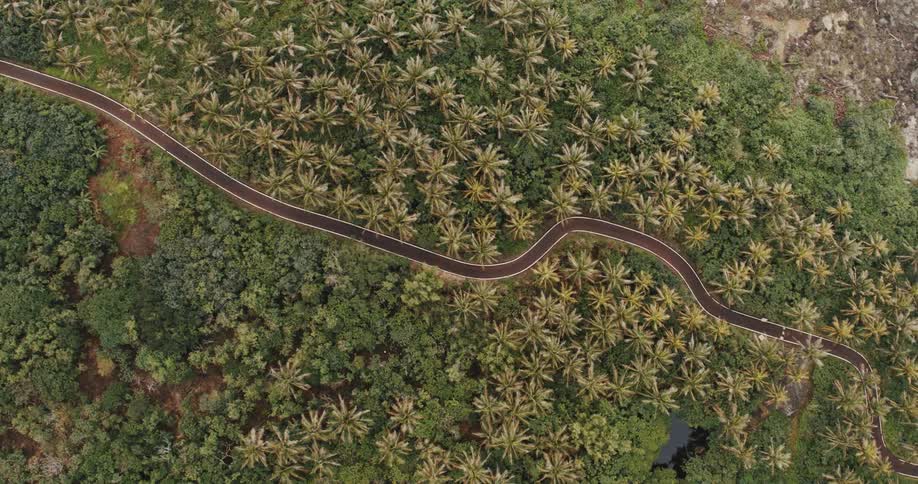 Aerial of a remote highway in a tropical forest