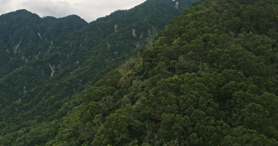 Aerial footage of lush mountains