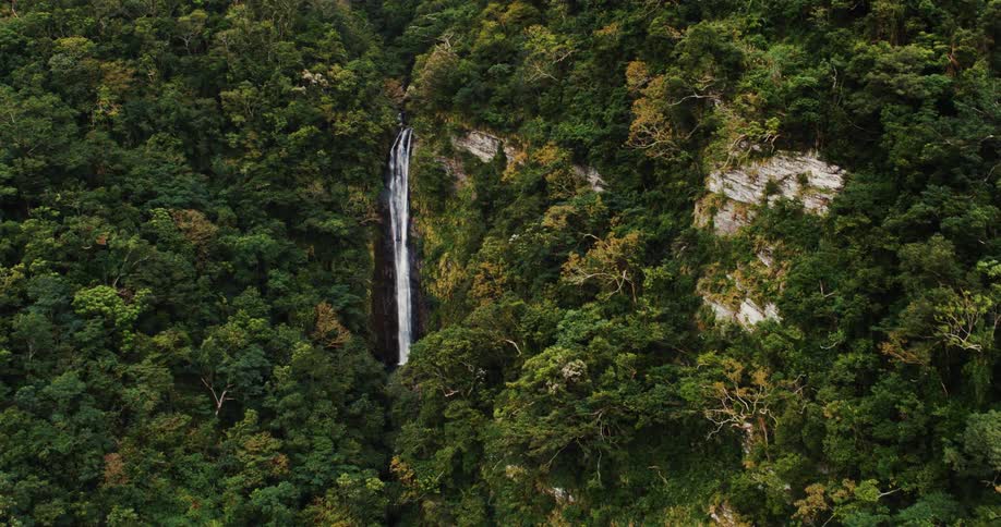 Some of the trees near a waterfall located on a forested cliff are changing into their fall foliage