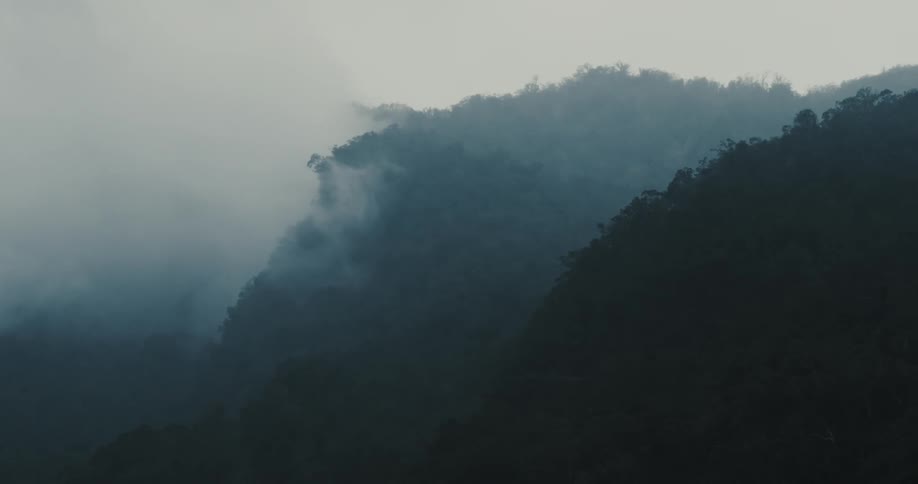 Thick fog covers forested mountains