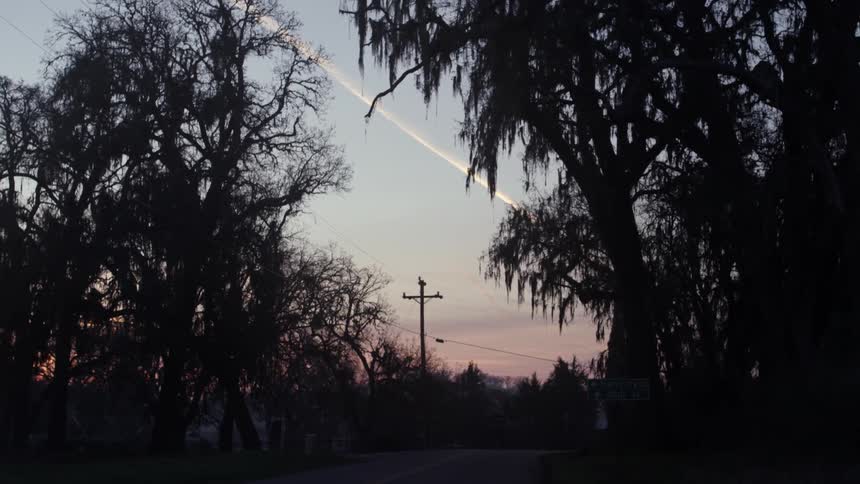 The sun is setting over these power lines and large trees