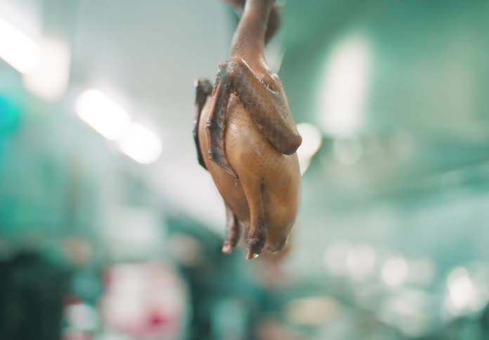 Roasted ducks hang on a display in a restaurant
