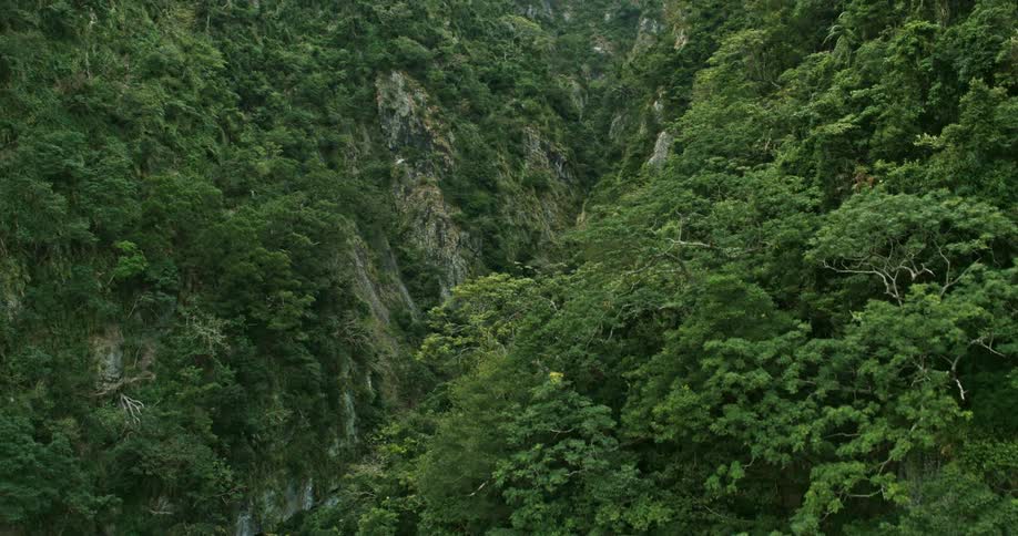 Flying over lush green mountains