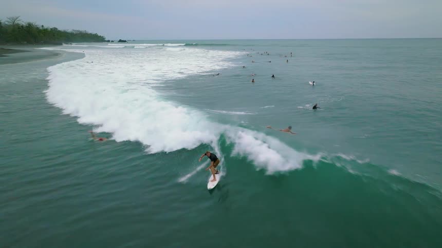 A wide clip of people surfing and swimming the sea wave