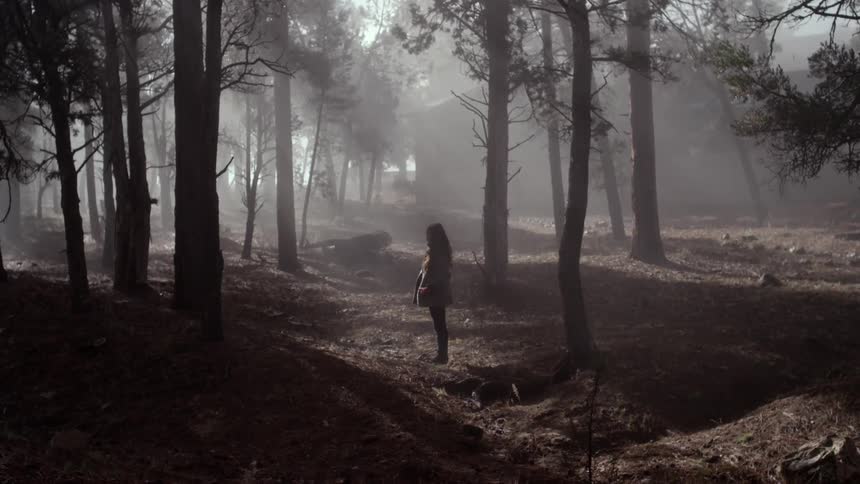 A woman is standing still in a wooded area covered in a light fog