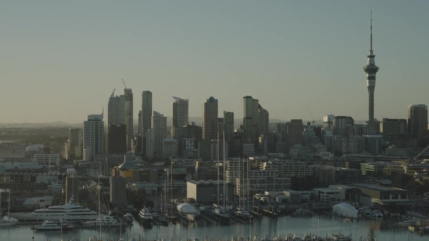 Boats are docked in the harbor of the big city