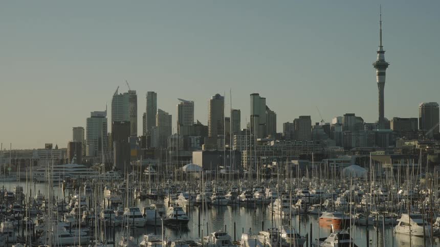 Many sailboats are docked at a marina on the coast of a large urban city