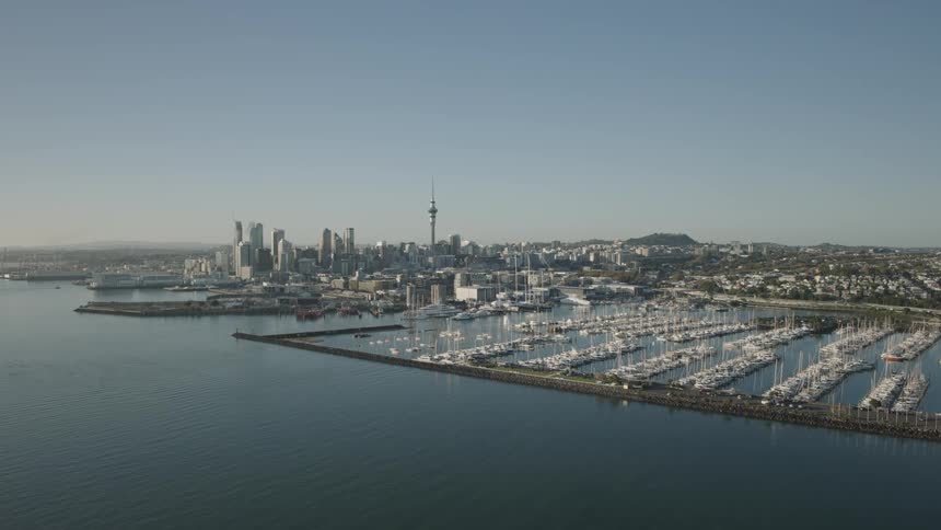 Boats fill the large marina of a city containing a space needle
