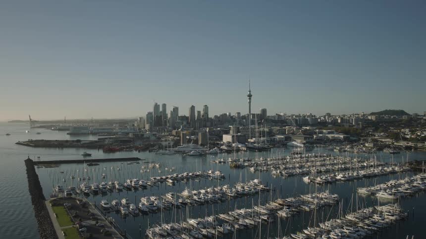 Aerial view of a marina filled with boats set against a backdrop of a modern city skyline