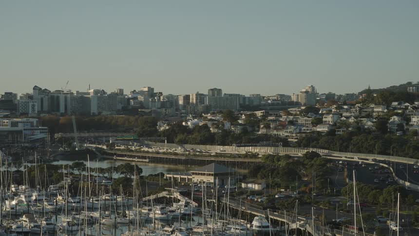 A harbor filled with numerous white sailboats rests in the foreground leading to a cityscape with various buildings and a highway bustling with cars under a clear sky