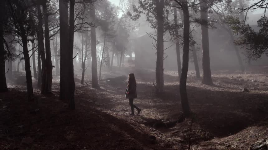 A woman walks in the woods behind a house