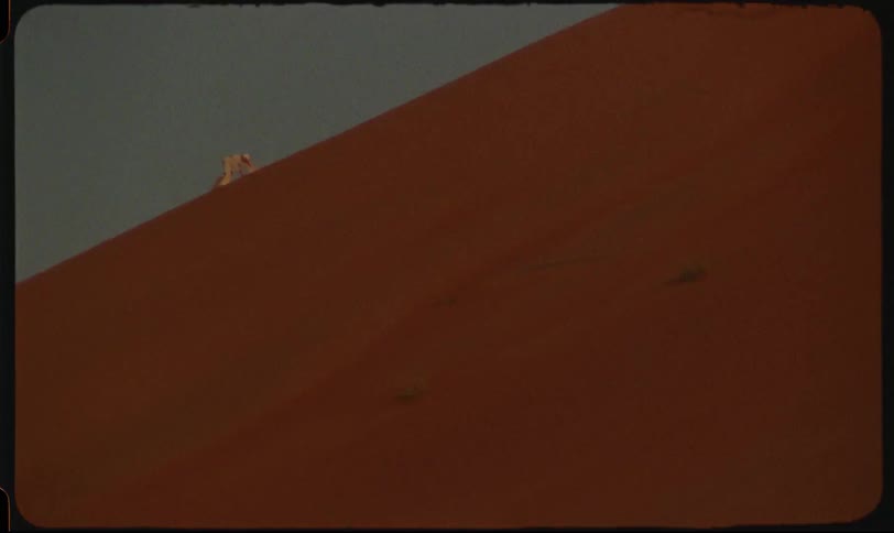 A person climbing a dune in the desert