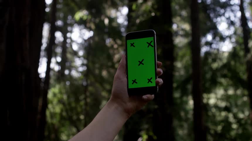A woman holds up a smartphone with forest trees in the background