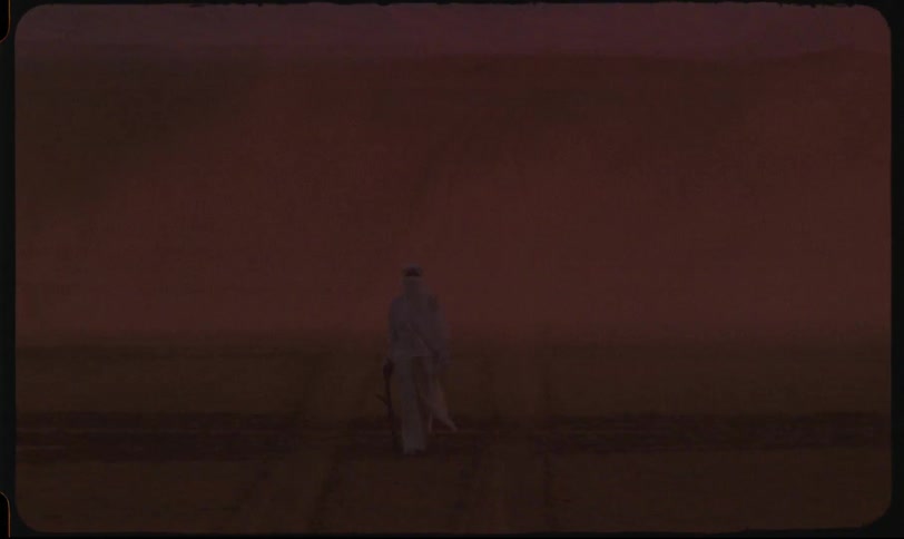 A lone figure stands in the vast desert partially obscured by a dust storm