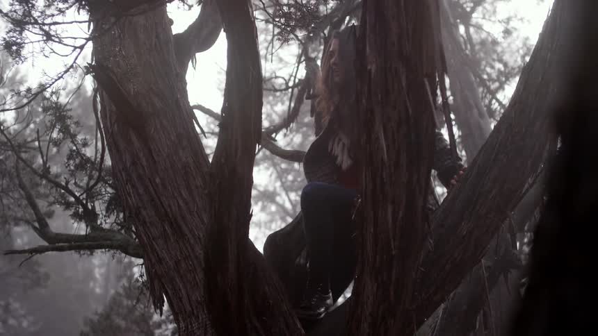 A woman climbs up a tree on a cloudy day