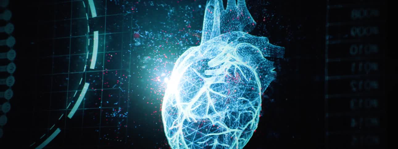 An animated image of a human heart spinning on a display