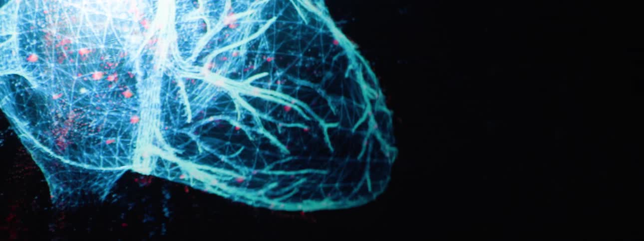 A computer scan of a human heart is glitching as its displayed on a screen