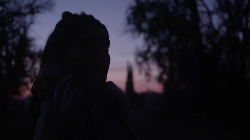 A person is walking at night near some trees at dawn