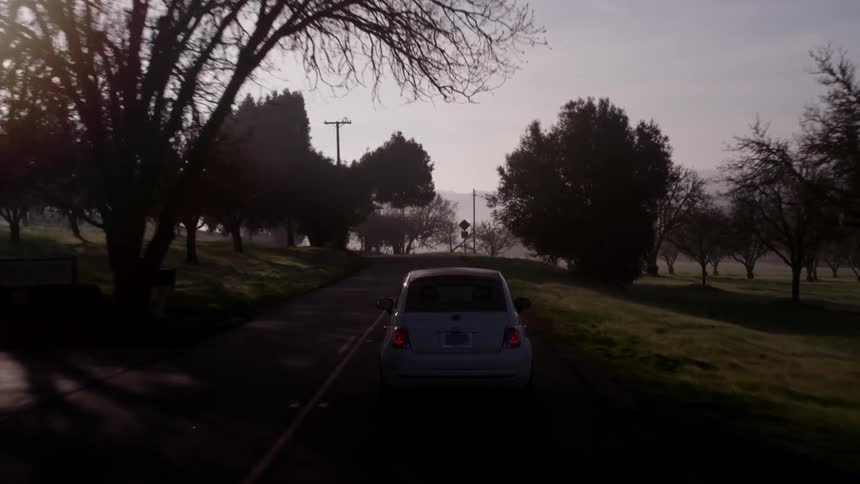 A car driving down a street lined with trees