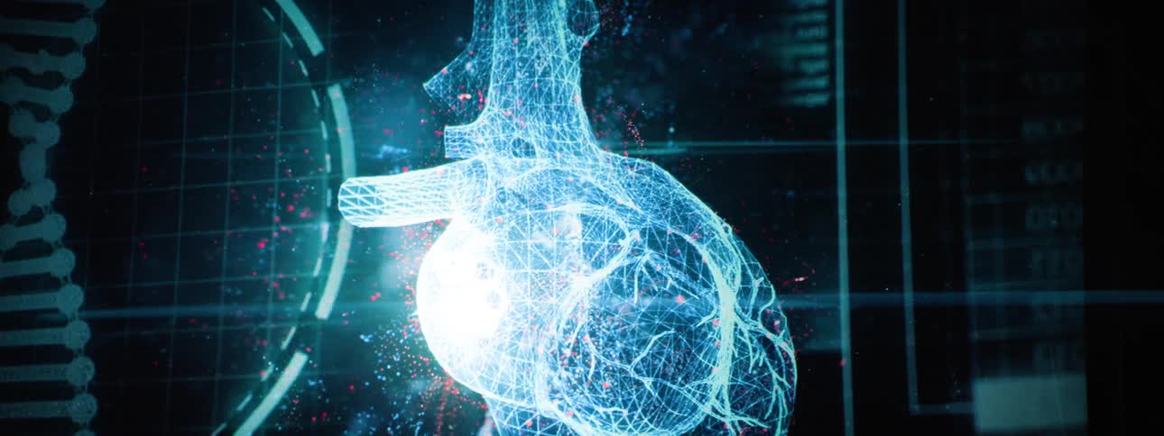 Close up of a 3d representation of the human heart rotating on a screen