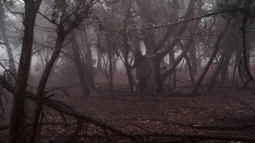 A woman is hiking in the forest on a foggy day