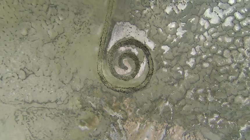 A curled pattern is etched in the land