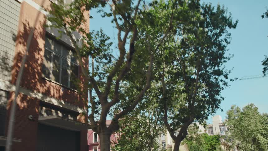 View from a moving vehicle as it is driven past trees, buildings, and parked bicycles on a sunny day.