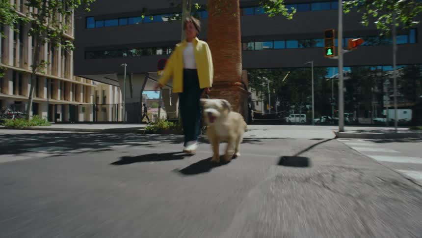 Fast motion low angle POV on a city street past a woman walking across the pedestrian crosswalk with her dog on a leash.