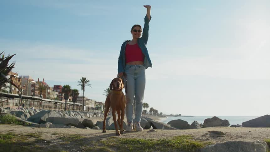 A woman with a dog on a leash is walking along a city beach lined with large boulders and palm trees and she stops and waves to someone she recognizes off camera in the distance.