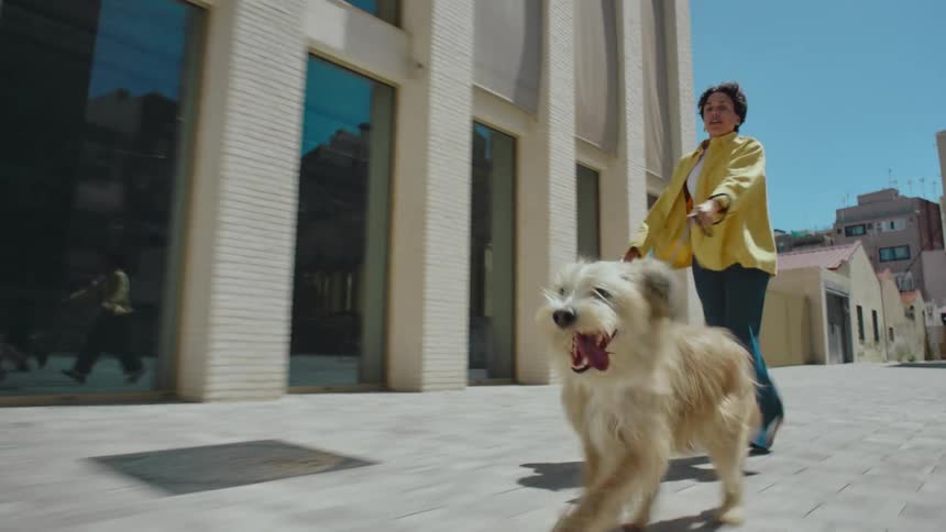 A woman walks frantically to keep up with her dog while holding its leash as the animal runs excitedly along city sidewalks pulling her along behind.