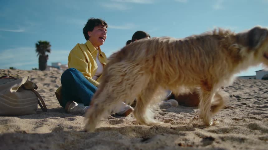 Two women sitting on the sand at the beach accompanied by two dogs