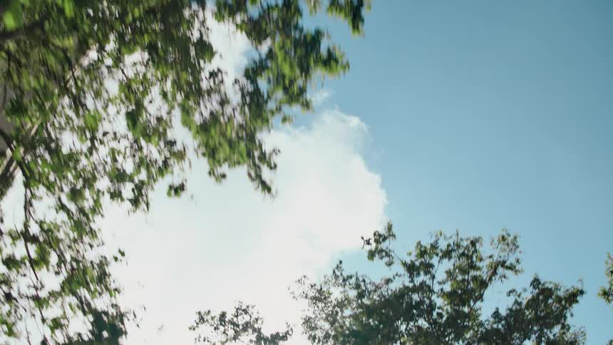 POV from the side of a moving car panning up to the sunny sky above as it is driven past buildings and trees in the city.