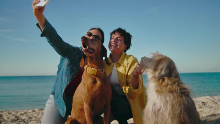 Two people on a sandy beach taking a selfie together with their two dogs as the waves of the blue sea behind them come gently ashore.