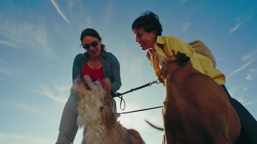 View looking up at two women smiling warmly as they care for their dogs together with the sunny blue sky behind them.