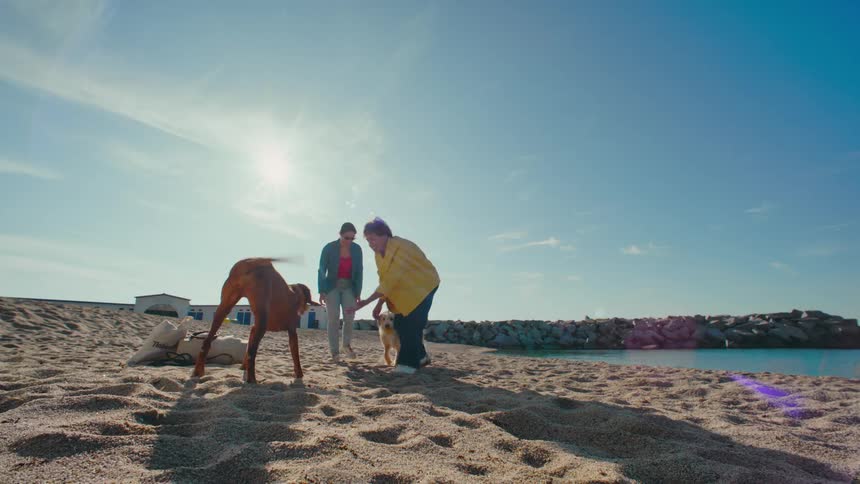 Two women are playing fetch with their dogs in the sand on a sunny beach near the water
