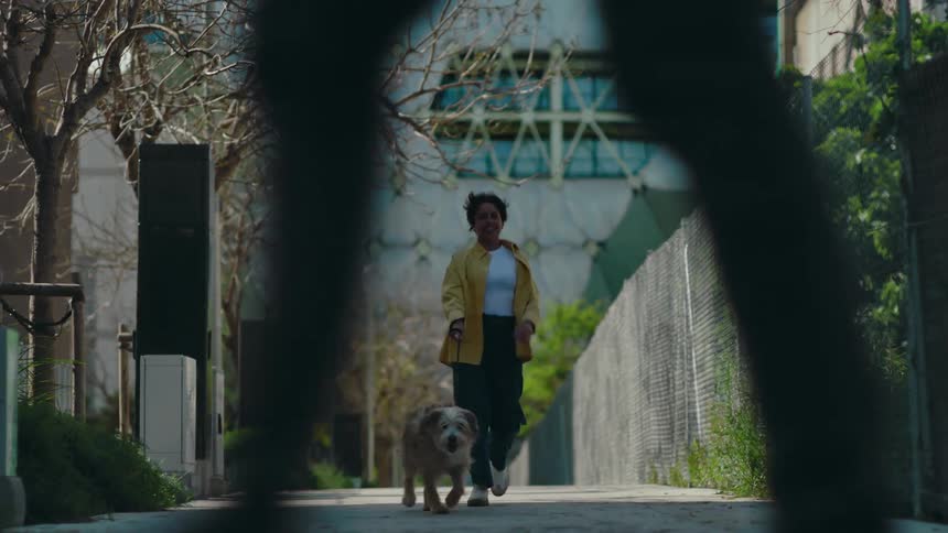 A happy woman with her dog on a leash is walking toward the camera from a distance on a city sidewalk  through a green shaded area on a sunny day