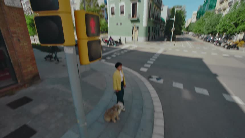 View of a traffic light turning red as the camera pans down to a woman walking her dog across the crosswalk once the pedestrian signal turns green.