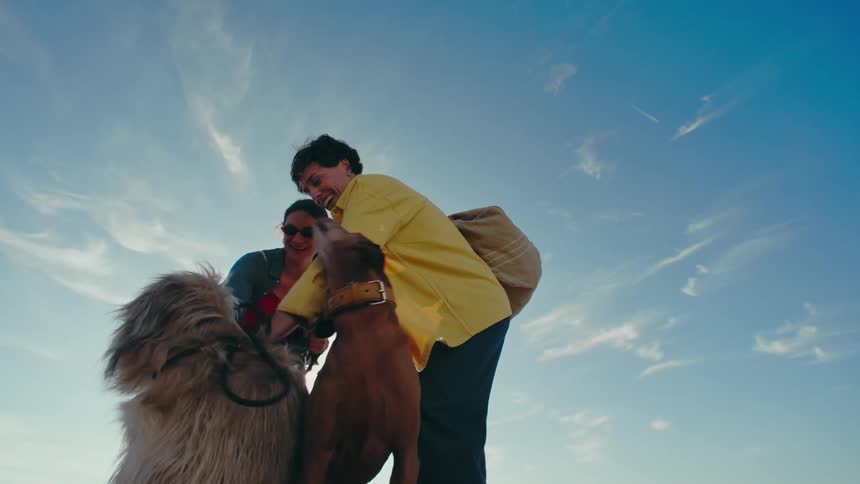 View looking up at the sunny sky when two female friends arrive with dogs on leashes and greet each other as their pups excitedly look around.