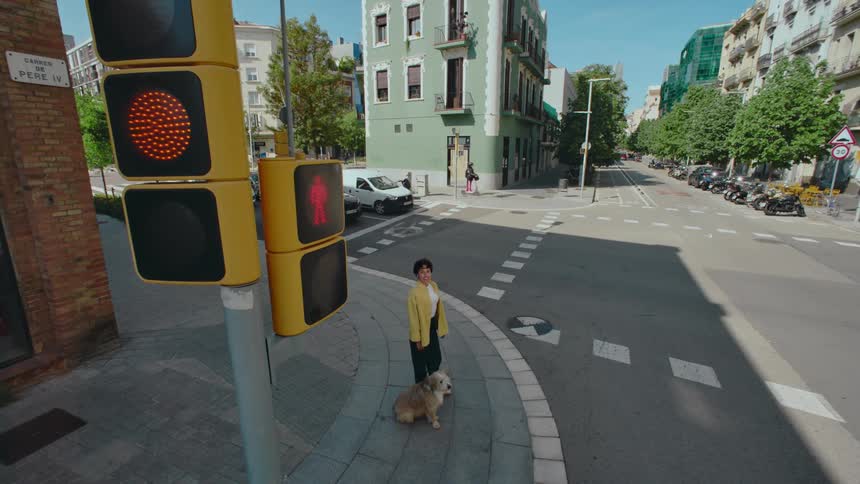 Bird's POV from a traffic signal of a woman waiting to cross the street while walking her dog on a leash in the city, as a garbage truck and cars go by and lights turn from green to red and the walk signal comes on.