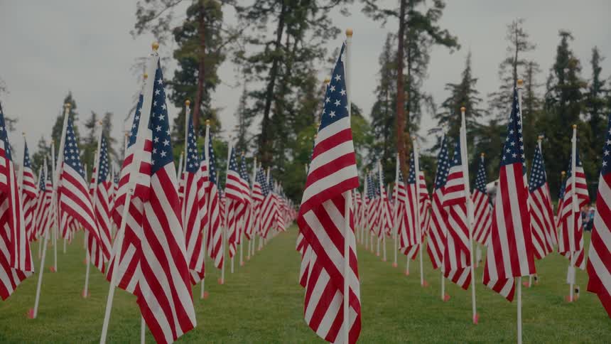 A series of american flags displayed on a grassland