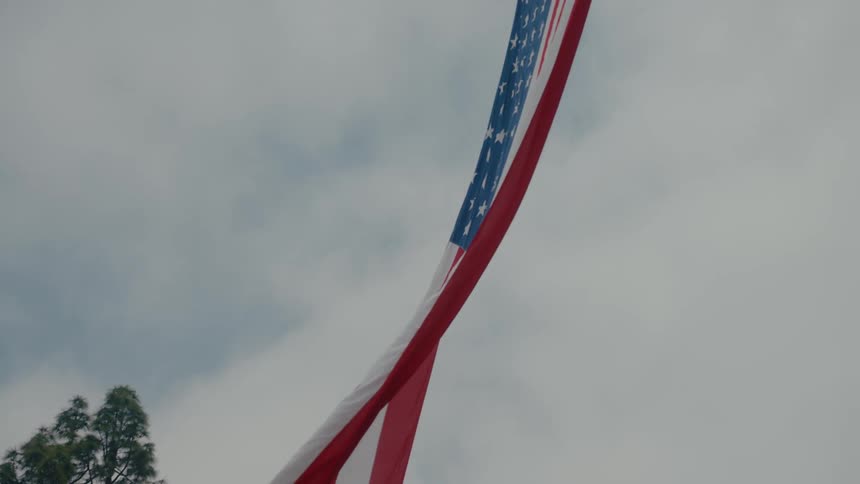 An american flag flying high waving back and forth in the wind in an open area with a tree nearby on a cloudy day