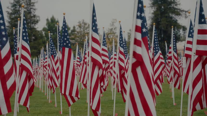 A large grassy area has several rows of american flags stuck into it